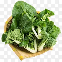 食物蔬菜维生素营养小白菜