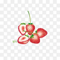 高清草莓ai格式下载
