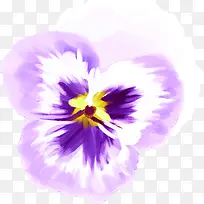 紫色插画海报设计花朵