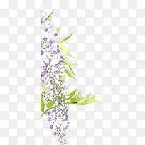 手绘清新紫色花朵