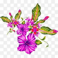 紫色手绘唯美花朵植物