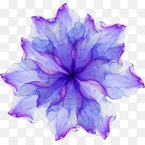 紫色海报植物花朵效果