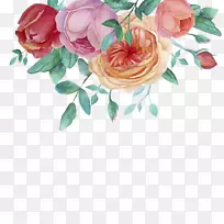 水彩画花园玫瑰.手绘水彩花卉装饰框架
