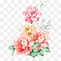 粉红花水彩画.手绘装饰性粉红花