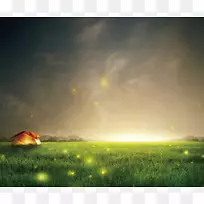 三星星系S6三星星系S5智能手机壁纸-夜空萤火虫草背景