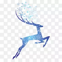 文字图形设计蓝色插图-圣诞梅花鹿