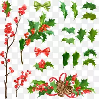 普通冬青圣诞装饰-各种风格的圣诞树装饰