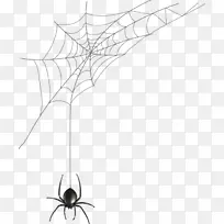 蜘蛛网黑屋蜘蛛插图.手绘蜘蛛网