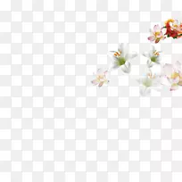 纺织花瓣白色图案-浮动花