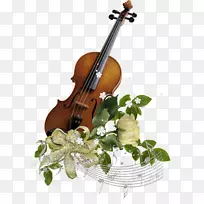 小提琴家庭乐器弦乐大提琴装饰