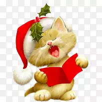 猫，圣诞老人，小猫，圣诞剪贴画-可爱的动物