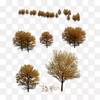 秋秋树三维造型