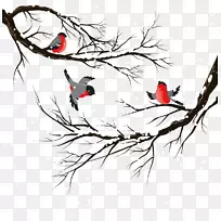 鸟类冬季插图-创造冬季鸟类冬季树木