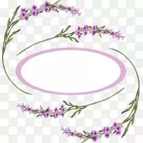 薰衣草圈紫罗兰-紫色薰衣草圈