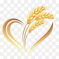 小麦心麦片-金色小麦