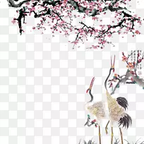 仙鹤樱花桃红冠鹤水墨下洗桃花