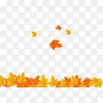 秋叶剪贴画-秋天枫叶背景图像