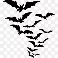 蝙蝠万圣节剪辑艺术-蝙蝠