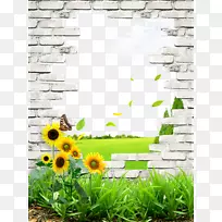 墙海报.墙壁和草坪的新鲜插图