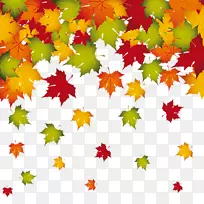 秋叶颜色-秋叶边框