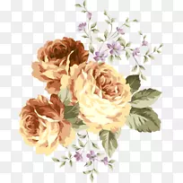 向心叶玫瑰花-花型元素