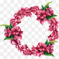 粉色玫瑰-红色花朵的装饰框架