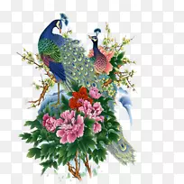 亚洲孔雀画-鸟与花