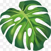 叶槟榔科欧式图-绿夏香蕉叶