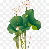 下载水墨画-彩色水墨中式莲花