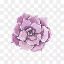 玫瑰花婚礼粉红-手绘，花，海报