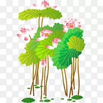 图插画-手绘莲花