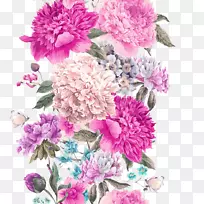 花卉水彩画原图-精美的手绘花卉材料植物