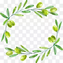 橄榄枝绘制绿色橄榄装饰性边框