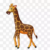 长颈鹿卡通插图-动物园长颈鹿