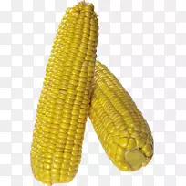 玉米玉米芯上的爆米花田玉米-玉米PNG图像