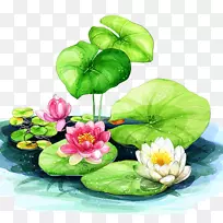 莲花车莲花伊莉斯莲花-伟大的手绘荷花背景
