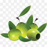 橄榄剪贴画-绿色橄榄png