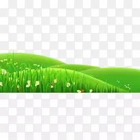 草甸剪贴画-透明花和草PNG剪贴画