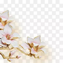 墙纸室内设计服务墙纸-漂亮的花卉材料