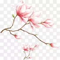1080 p高清视频显示分辨率壁纸.水彩粉红木兰花