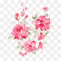 玫瑰花
