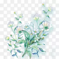 花型花束-装饰性小鲜花材料