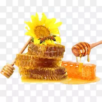 蜜蜂蜂巢-黄金蜂蜜蜂窝材料拉免费