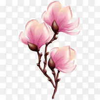 插花艺术-美丽绽放的枝条透明的PNG剪贴画形象