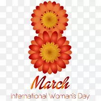 国际妇女节3月8日剪贴画-3月8日快乐妇女节透明PNG剪贴画图片
