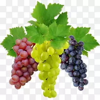 葡萄酒葡萄-葡萄图片下载，免费图片