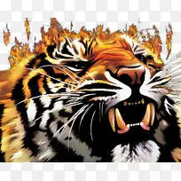 虎火猫狮子壁纸烧老虎
