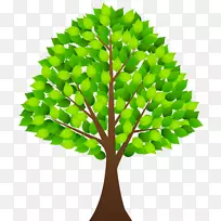 剪贴画-绿叶树透明PNG剪贴画图像