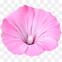 粉色花卉剪贴画-粉色花透明PNG剪贴画