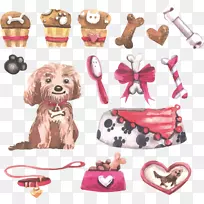 犬种宠物画狗和水供应材料